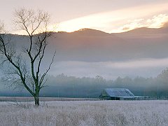 Fields of Frost, Grundy County, Tennessee